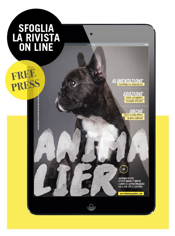 animalier-magazine-rivista-online